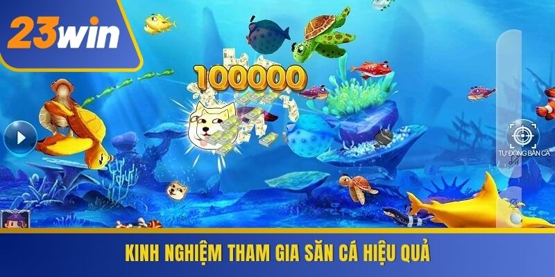 Kinh nghiệm tham gia săn cá hiệu quả