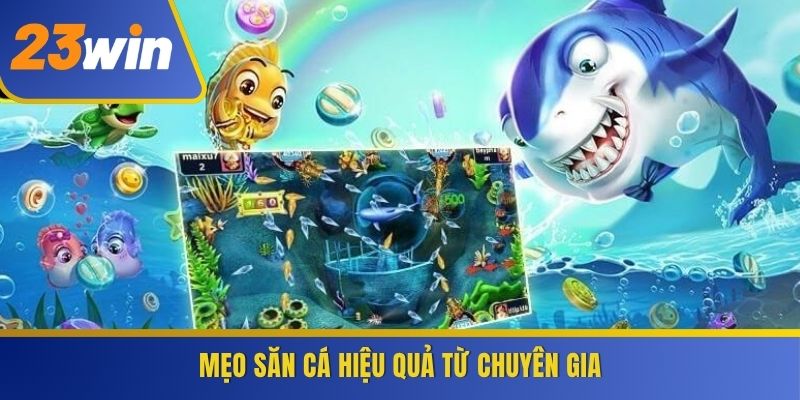 Mẹo săn cá hiệu quả từ chuyên gia
