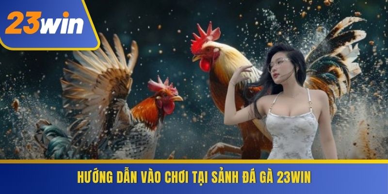 Hướng dẫn vào chơi tại sảnh Đá Gà 23WIN