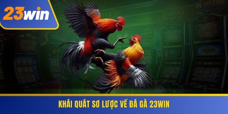 Khái quát sơ lược về Đá Gà 23WIN